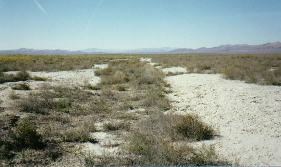 Photograph of 40 mile desert