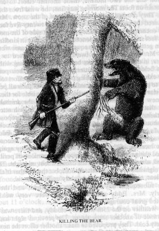 Drawing of Eddy killing bear
