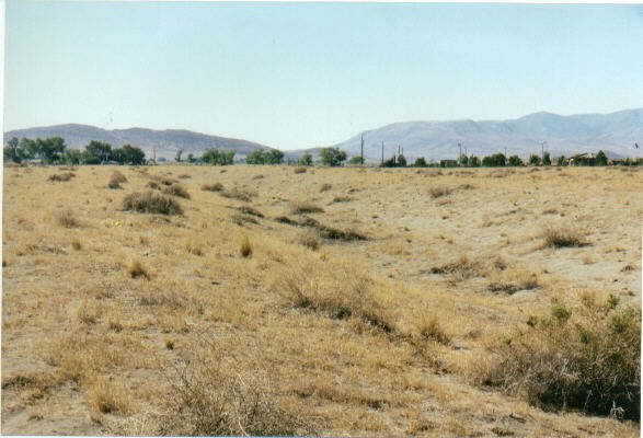 Photograph of trail through Sand Hills
