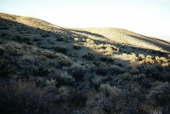 Photograph of steep sandy hill