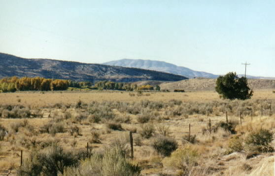 Photograph of South Fork canyon